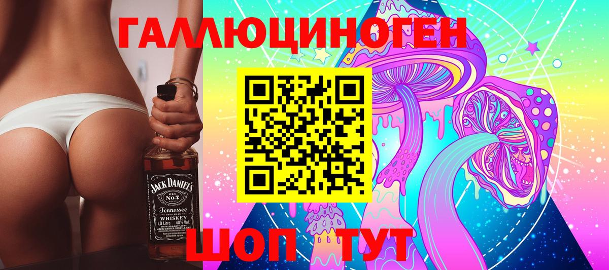 Сланцы  Псилоцибиновые грибы MAGIC MUSHROOMS  Вход с VPN 