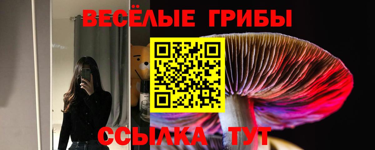 Псилоцибиновые грибы прущие грибы Сланцы